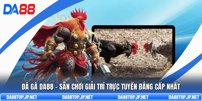 Đá Gà DA88 - Sân Chơi Giải Trí Trực Tuyến Đẳng Cấp Nhất